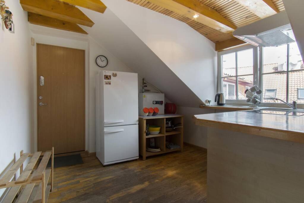 Private Sauna & 4 Bedrooms Old Town Rooftop Apartment 빌뉴스 외부 사진