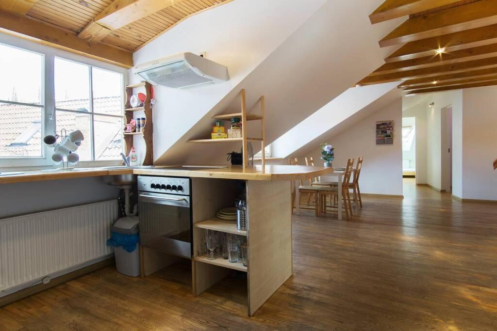 Private Sauna & 4 Bedrooms Old Town Rooftop Apartment 빌뉴스 외부 사진