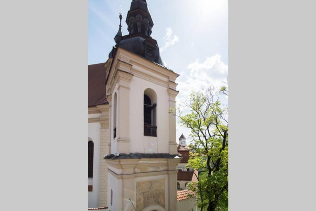 Private Sauna & 4 Bedrooms Old Town Rooftop Apartment 빌뉴스 외부 사진