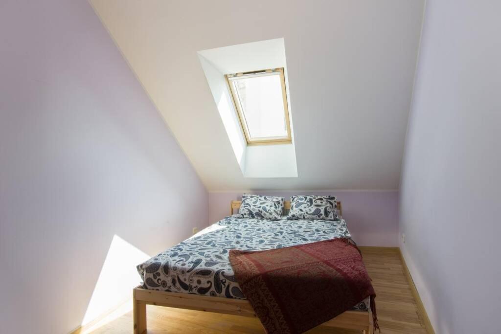 Private Sauna & 4 Bedrooms Old Town Rooftop Apartment 빌뉴스 외부 사진