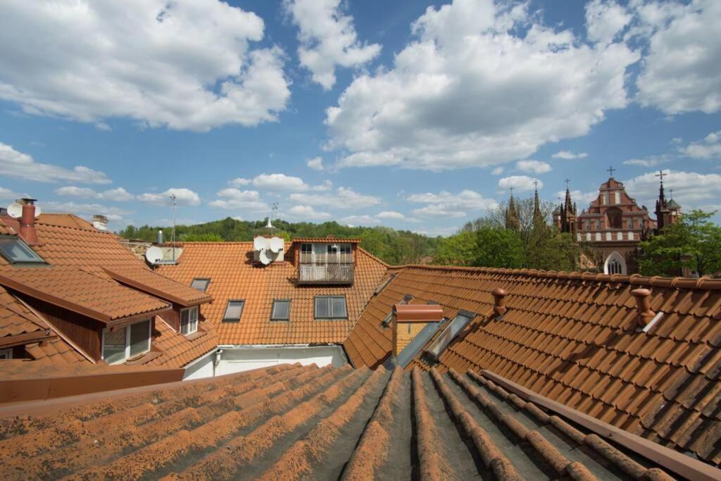 Private Sauna & 4 Bedrooms Old Town Rooftop Apartment 빌뉴스 외부 사진