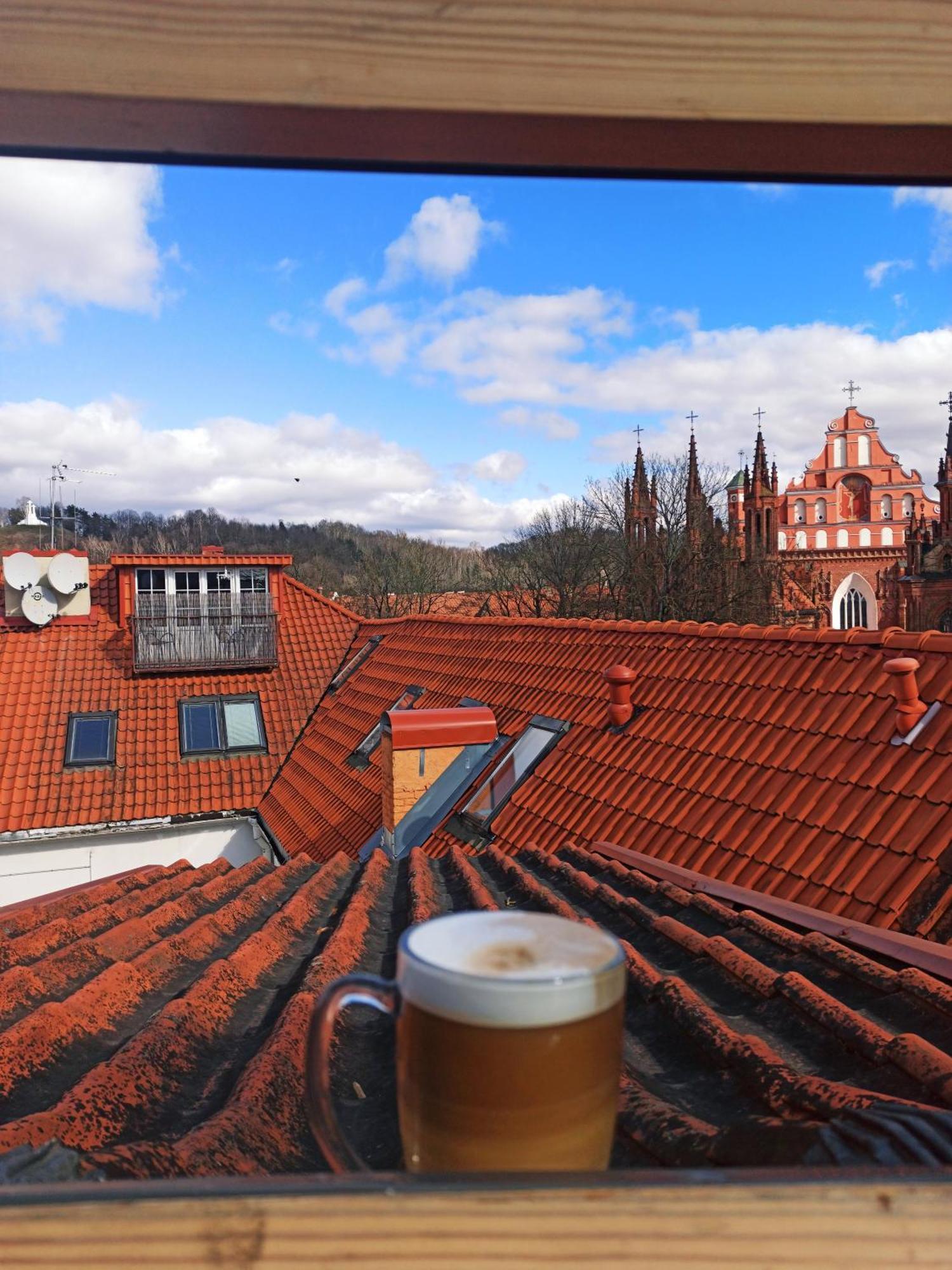 Private Sauna & 4 Bedrooms Old Town Rooftop Apartment 빌뉴스 외부 사진